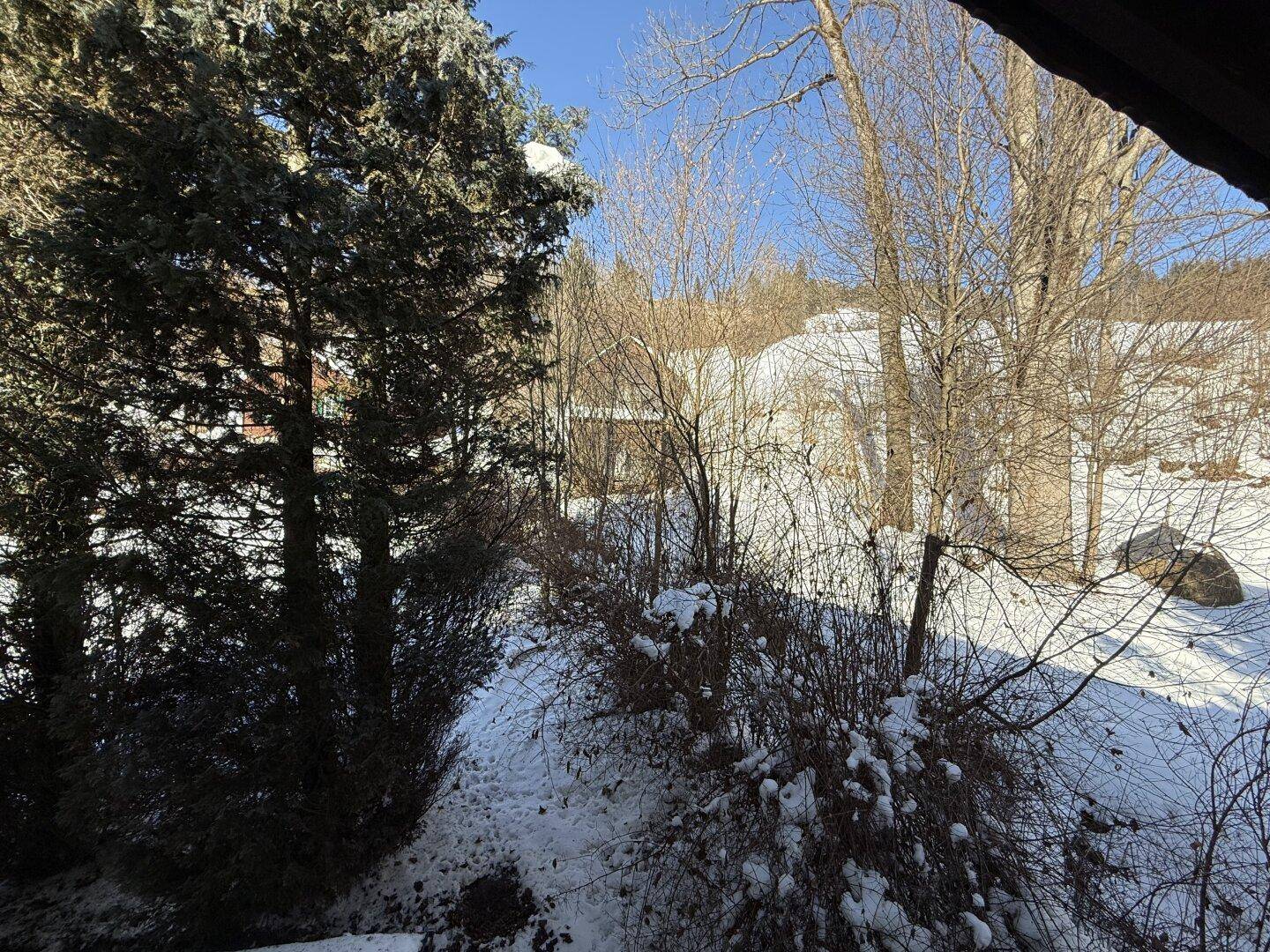 Weitläufiger Blick auf die winterliche Landschaft mit schneebedeckten Bäumen und einem klaren Himmel.