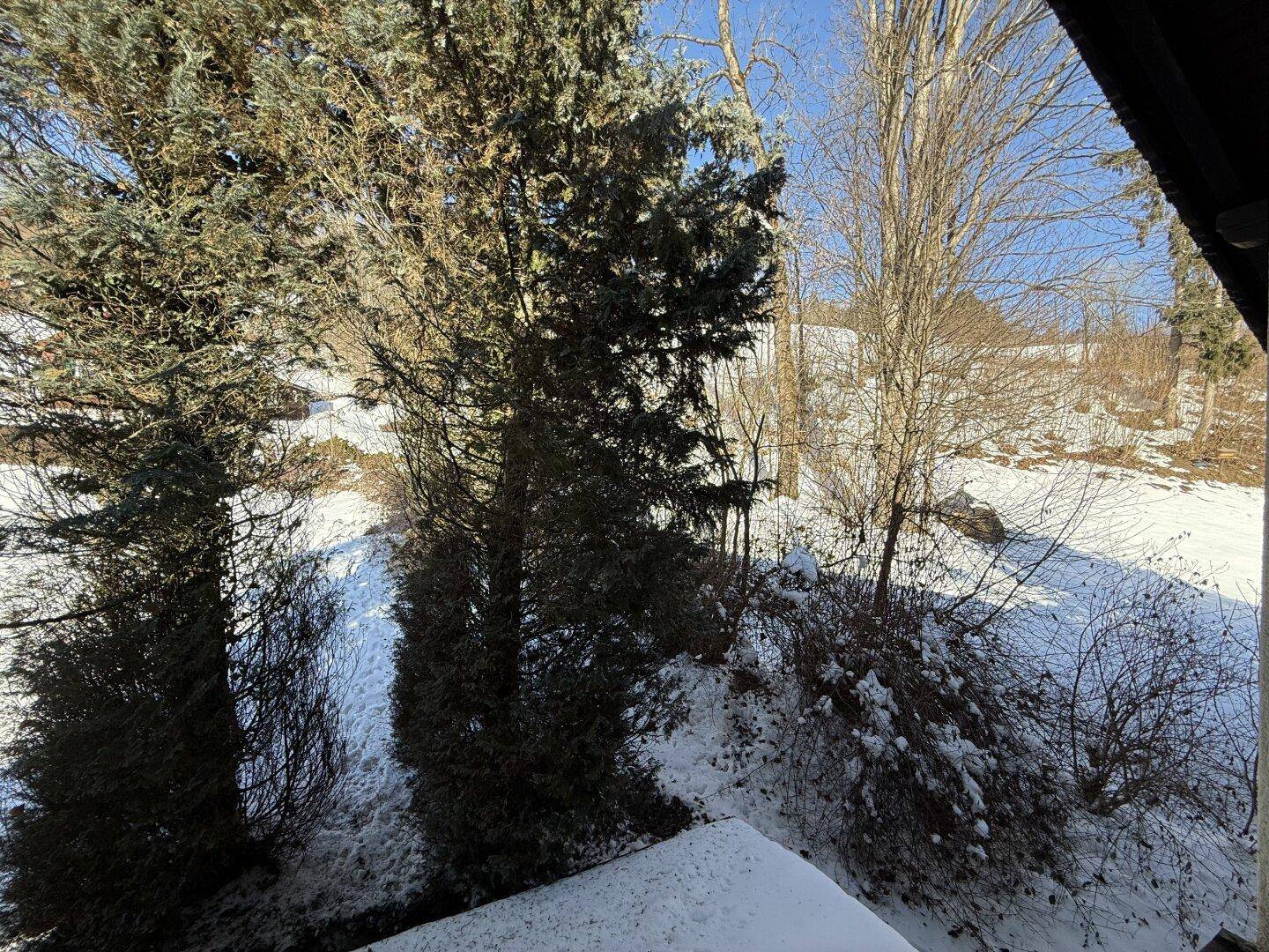 Panoramablick auf die verschneite Naturlandschaft mit Bäumen und Hügeln an einem sonnigen Tag.