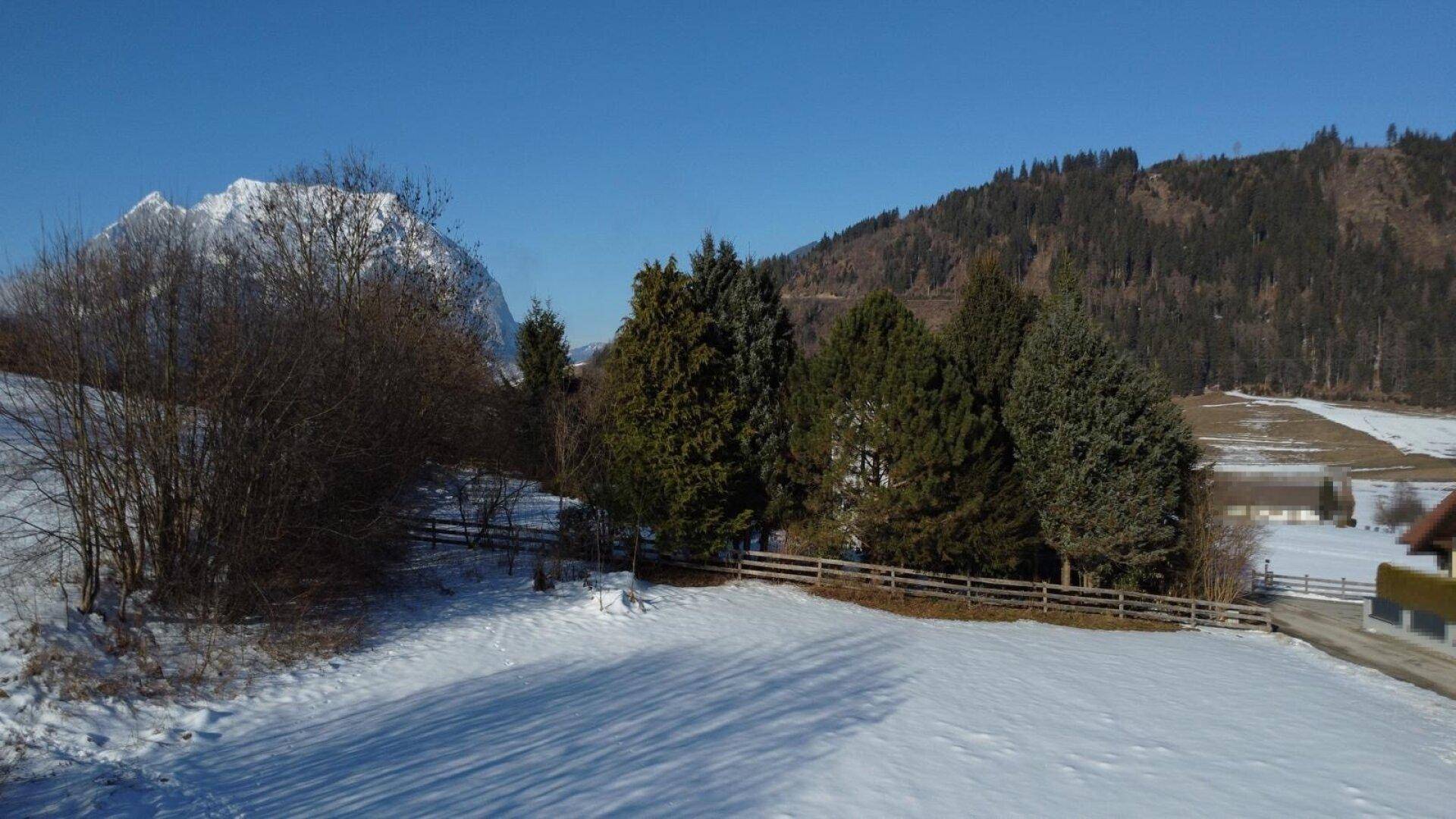 Sonnige Winterlandschaft mit schneebedecktem Feld, Nadelbäumen und einem Berg im Hintergrund.