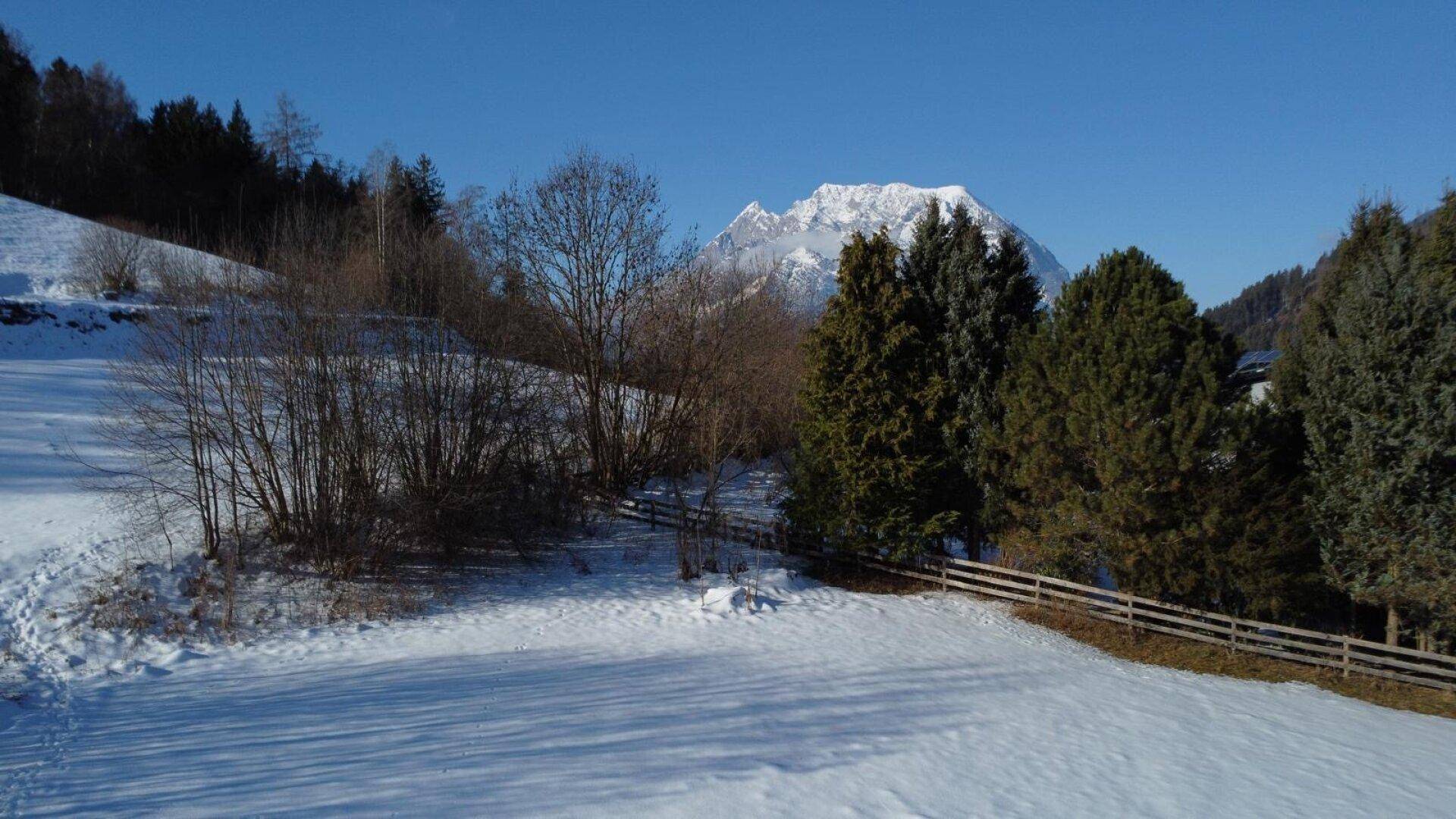 Sonnige Winterlandschaft mit schneebedeckten Feldern, Nadelbäumen und einem Berg im Hintergrund unter blauem Himmel.