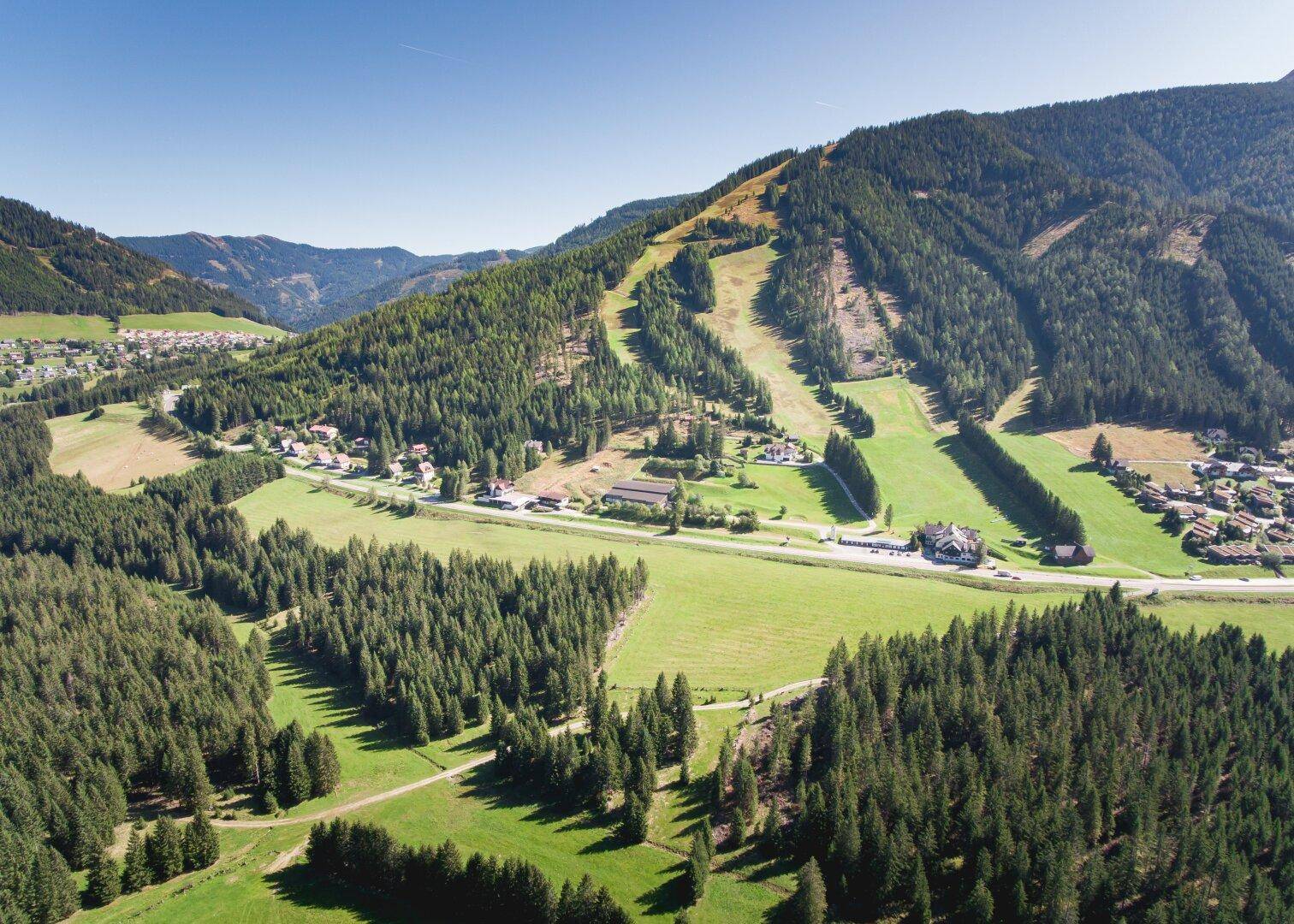 Grüne Sommerlandschaft aus der Vogelperspektive mit Wäldern, Feldern und einer Landstraße.