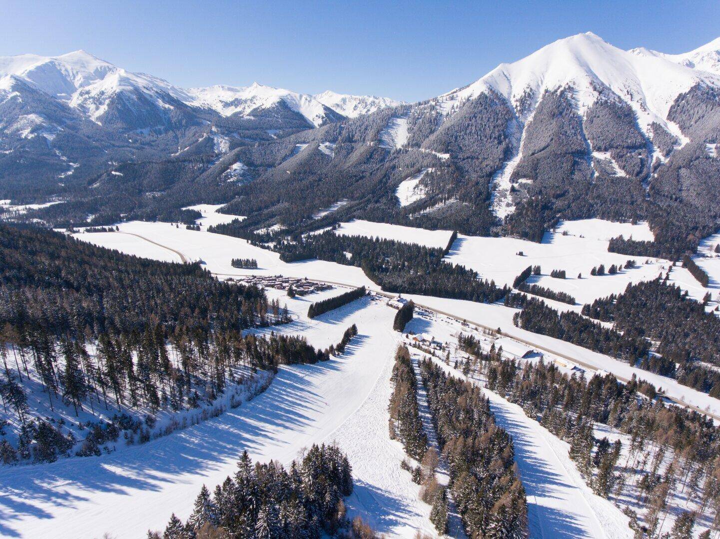 Weitläufige Winterlandschaft mit schneebedeckten Wäldern und majestätischen Berggipfeln im Hintergrund.
