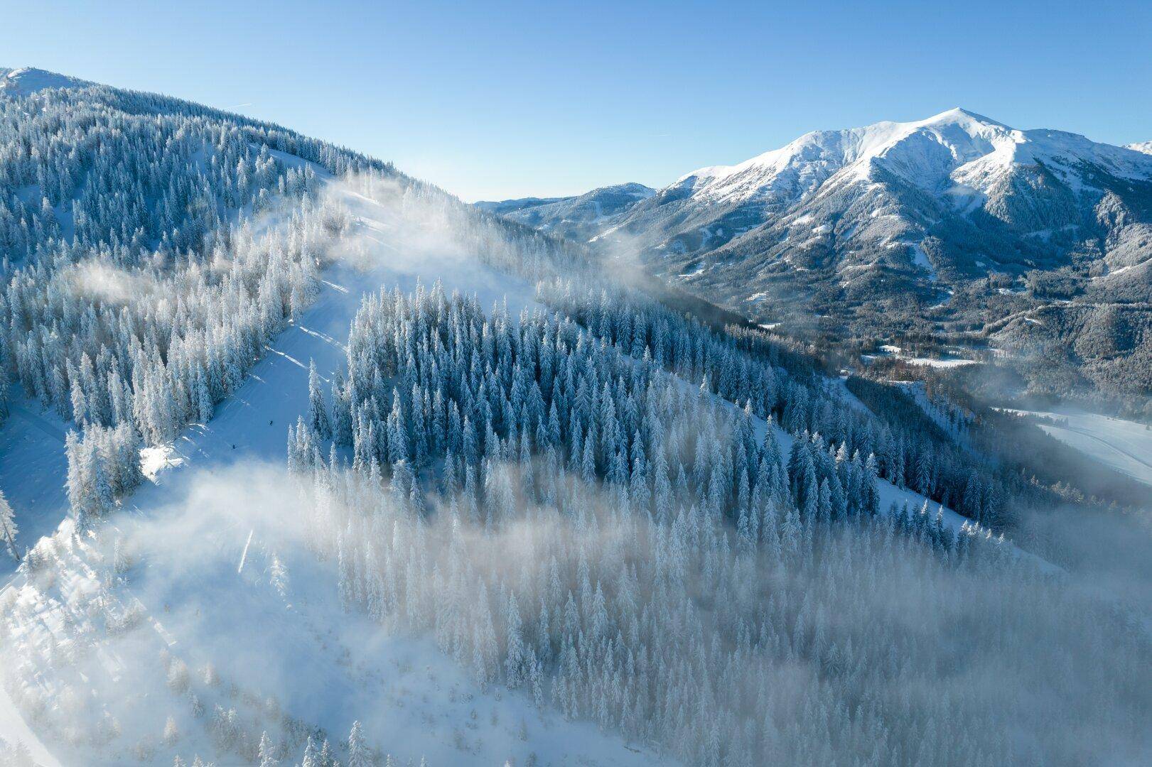 Mystische Berglandschaft mit verschneiten Wäldern und Nebelschwaden, die durch die Täler ziehen.