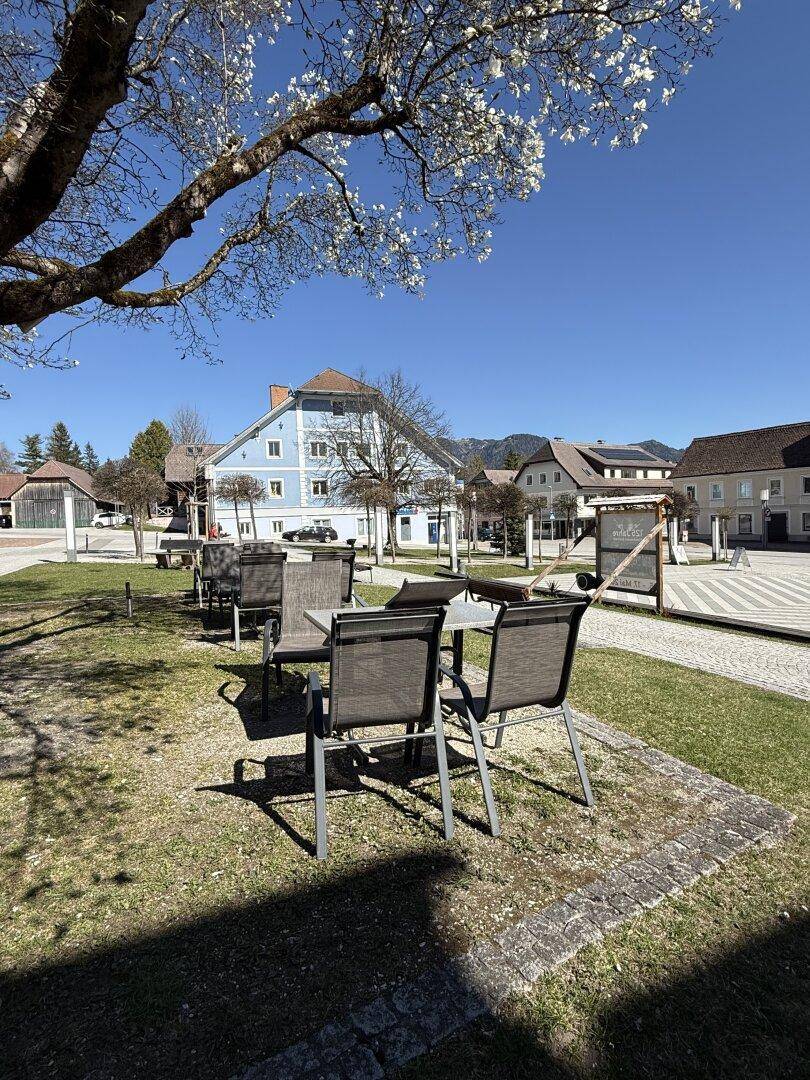 Sonniger Parkbereich mit Sitzgelegenheiten und blühenden Bäumen vor einer Bergkulisse.