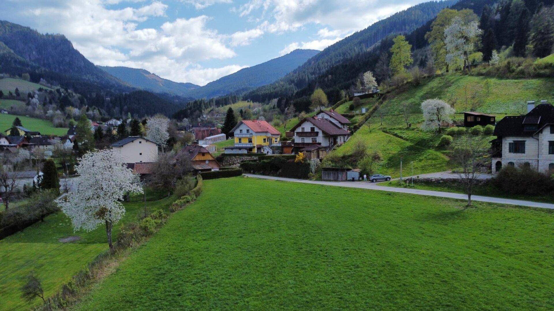 Idyllische Landschaft mit grünen Hügeln, verstreuten Häusern und bewaldeten Bergen im Hintergrund.