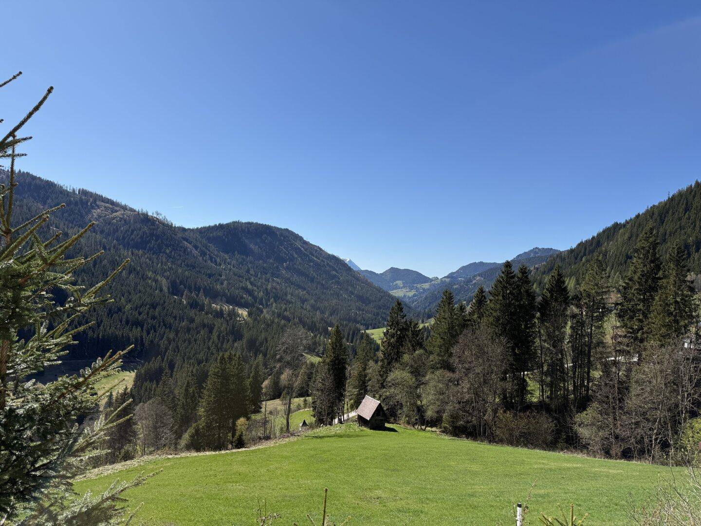 Weitläufiger Blick über grüne Hügel und bewaldete Berge unter klarem blauem Himmel.