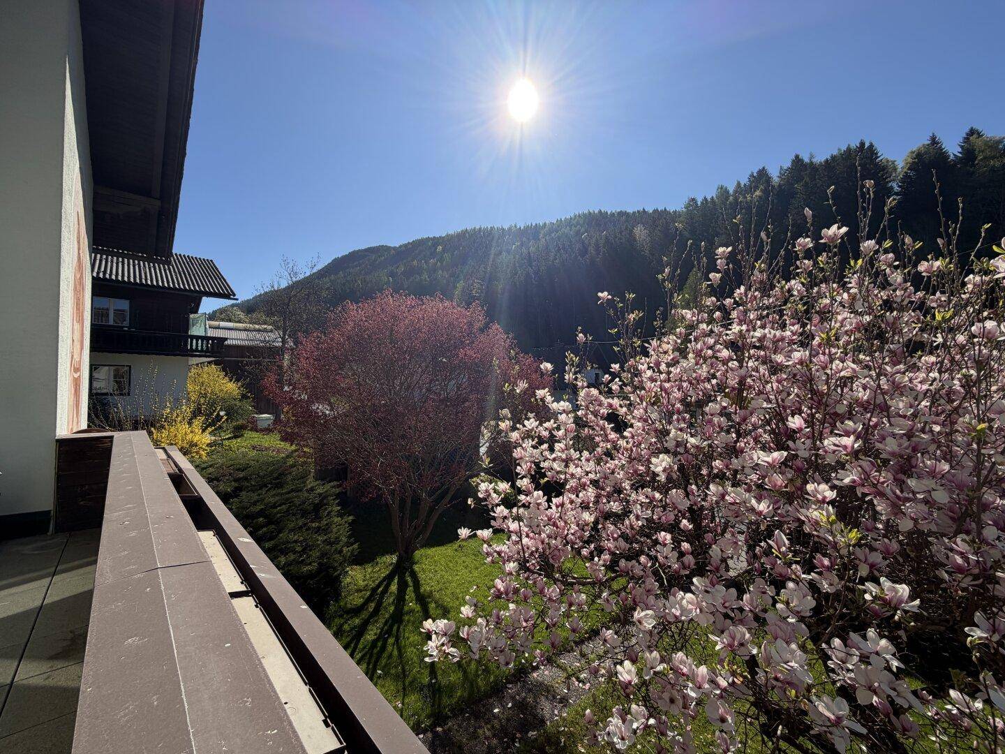 Sonniger Balkon mit blühenden Magnolienbäumen und weitem Blick auf die bewaldeten Berge.