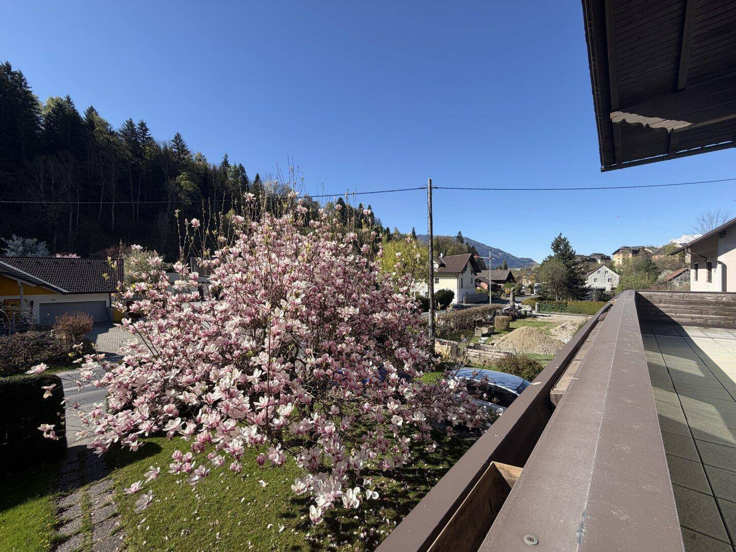 Balkon mit blühendem Magnolienbaum und Blick auf die Nachbarschaft und umliegende Hügel.