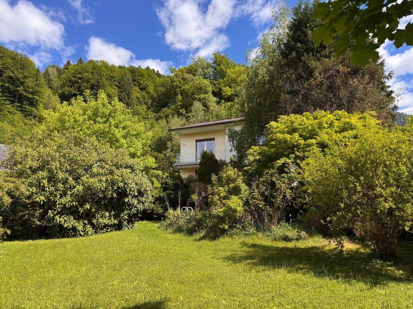 Weitläufiger grüner Garten mit üppiger Vegetation und dem Haus im Hintergrund unter blauem Himmel.