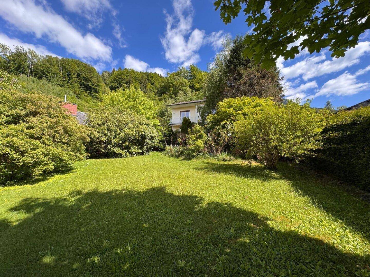 Sonniger Gartenbereich mit gepflegtem Rasen, umgeben von hohen Bäumen und einer dichten Hecke.