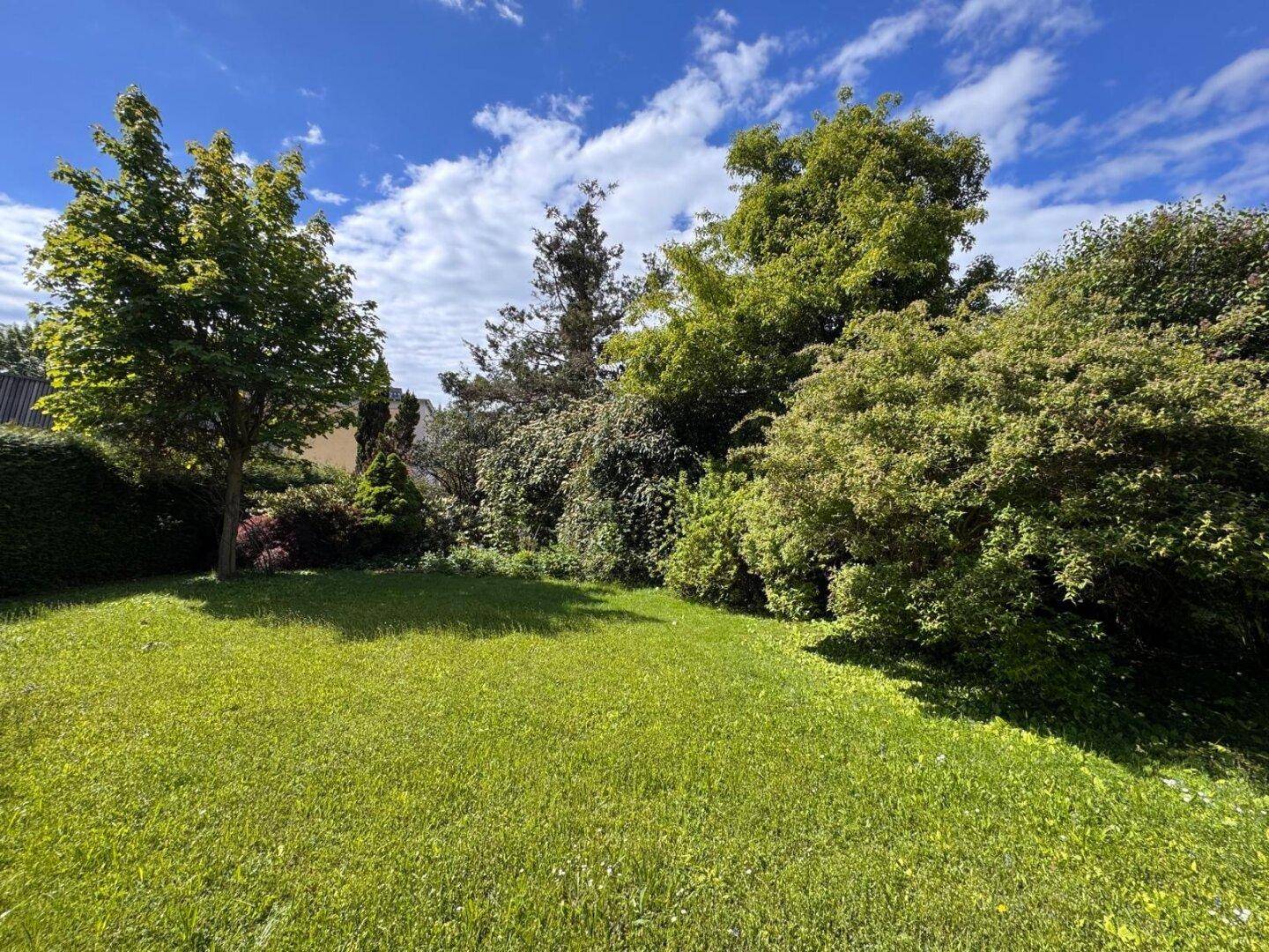 Weitläufige Rasenfläche im Garten, umgeben von dichtem Grün und hohen Bäumen unter blauem Himmel.