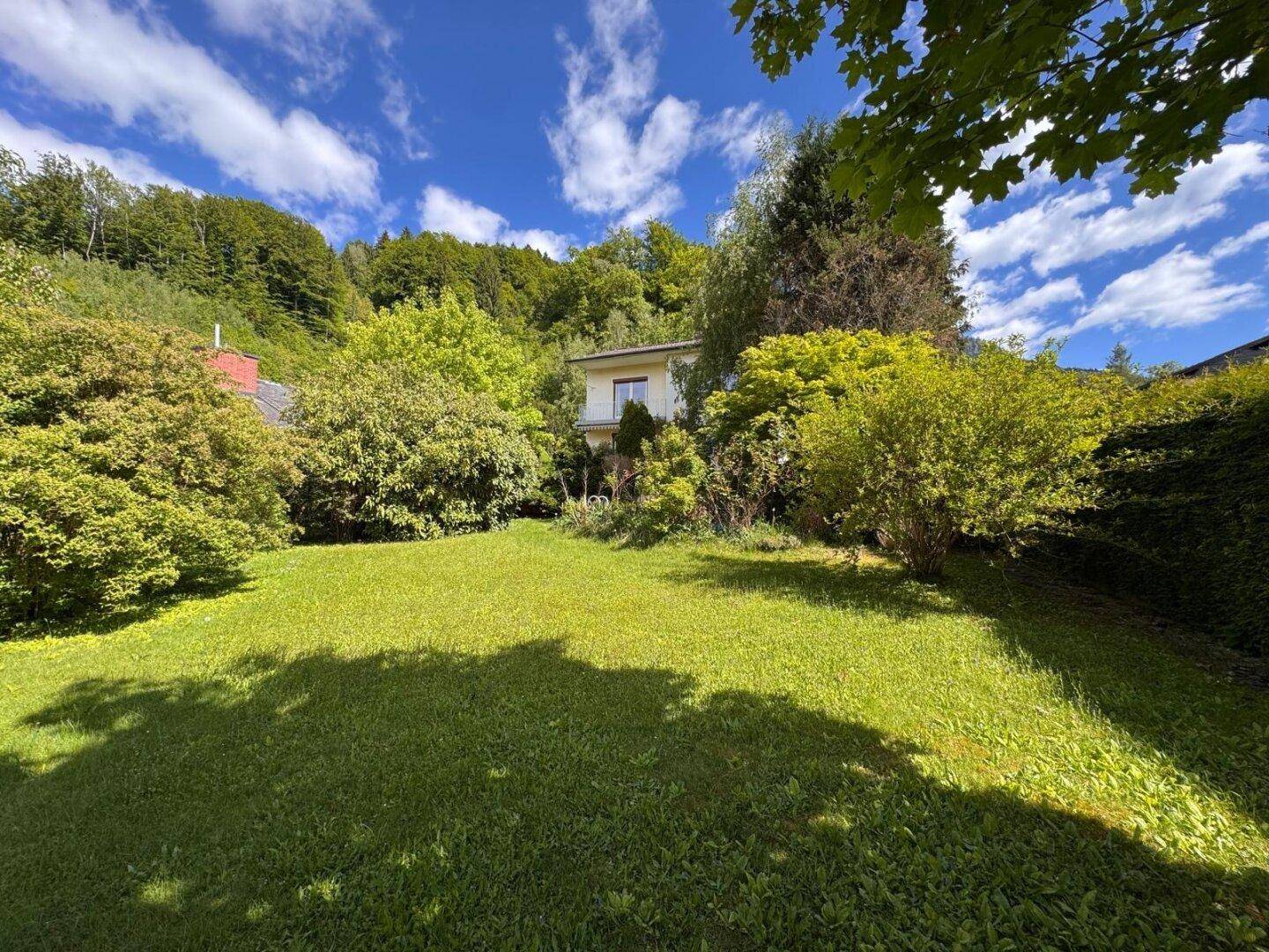 Sonniger Garten mit gepflegtem Rasen und üppiger Bepflanzung, ideal zum Entspannen im Freien.