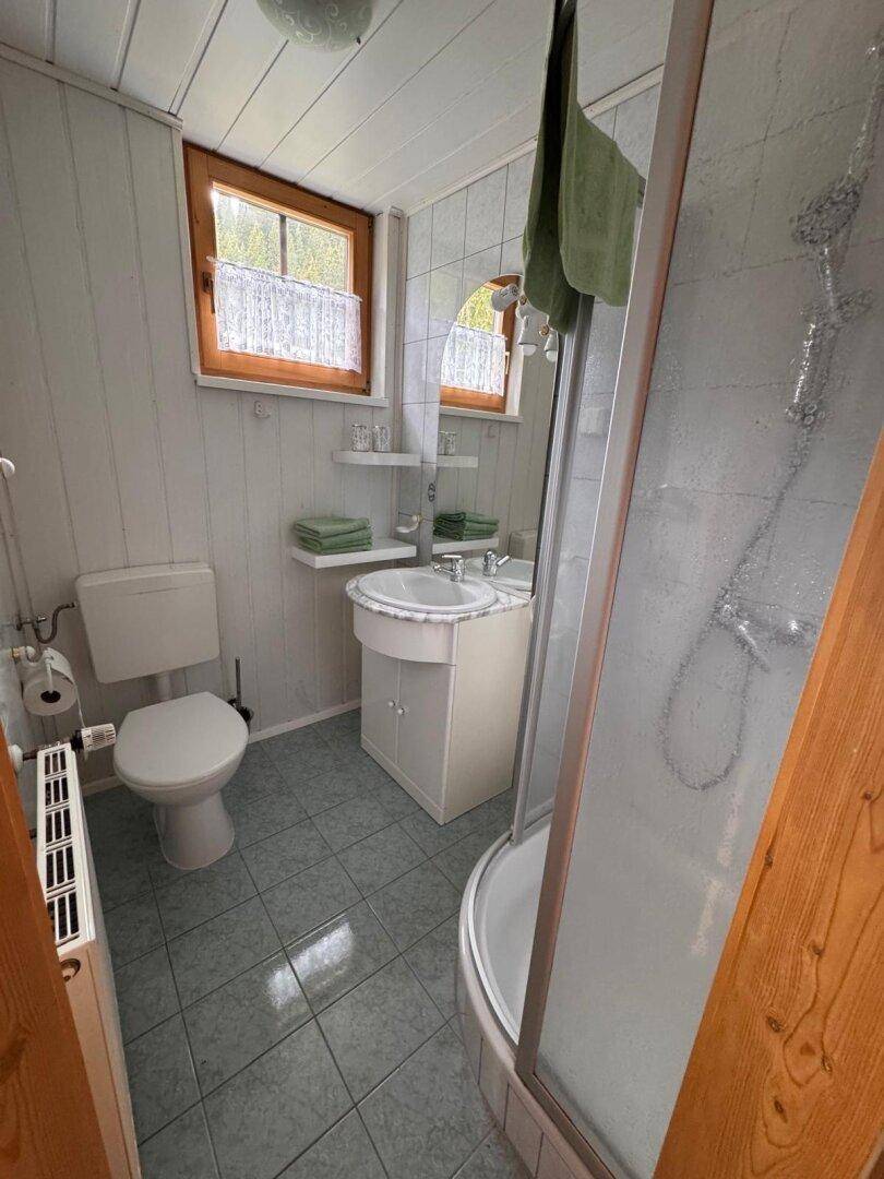 Helles Badezimmer mit Dusche, WC und Waschbecken, weiß getäfelten Wänden und Fenster.