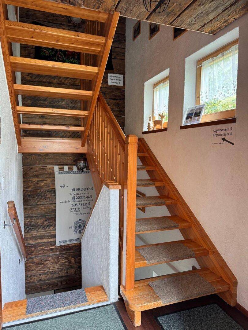Holztreppe mit Teppichläufern in einem Flur mit rustikalen Holzwänden und Fenstern.