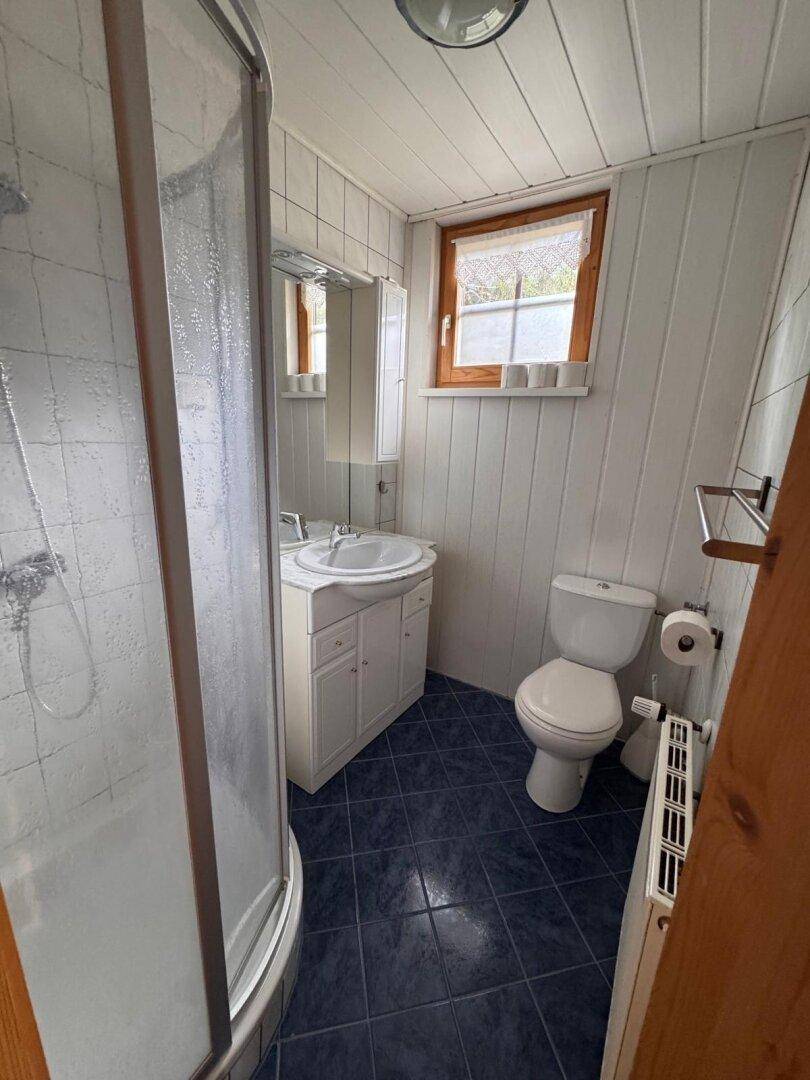 Badezimmer mit Dusche, WC und Waschbecken, blauen Fliesen und weiß getäfelten Wänden.