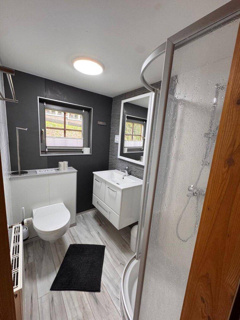 Modernisiertes Badezimmer mit Dusche, WC und Waschbecken, dunklen Wänden und Holzoptikboden.