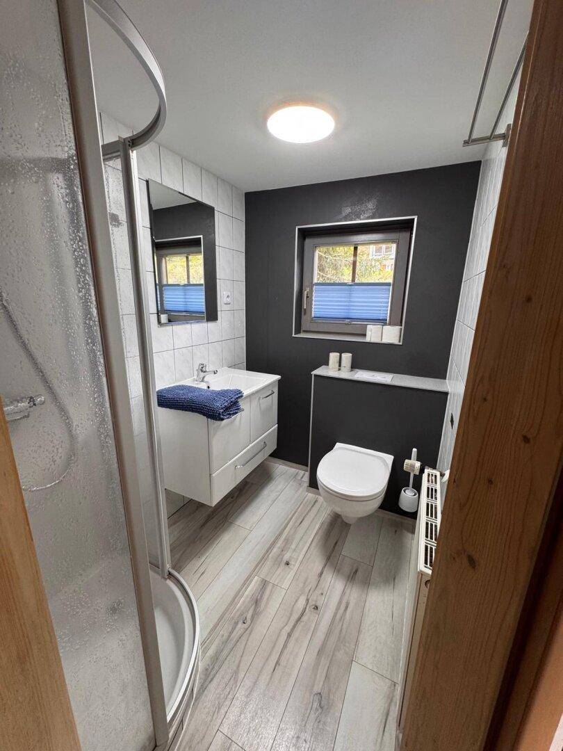 Modernisiertes Badezimmer mit Dusche, WC und Waschbecken, dunklen Wänden und Holzoptikboden.