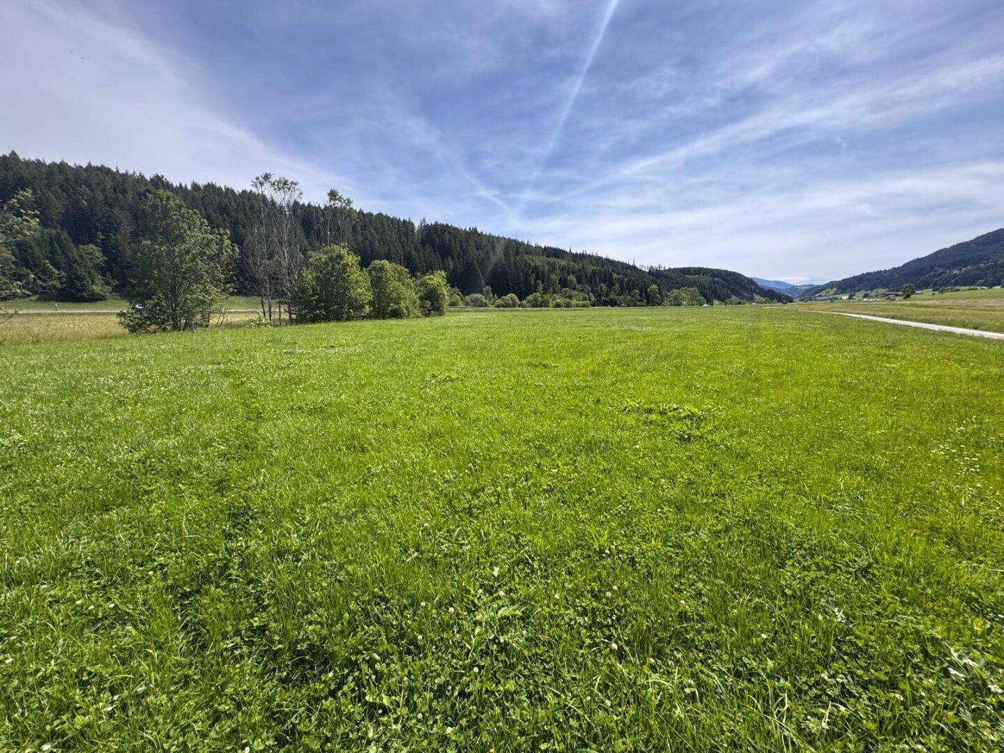 Offene grüne Landschaft mit Waldrand und ferner Bergkette unter einem weiten blauen Himmel.