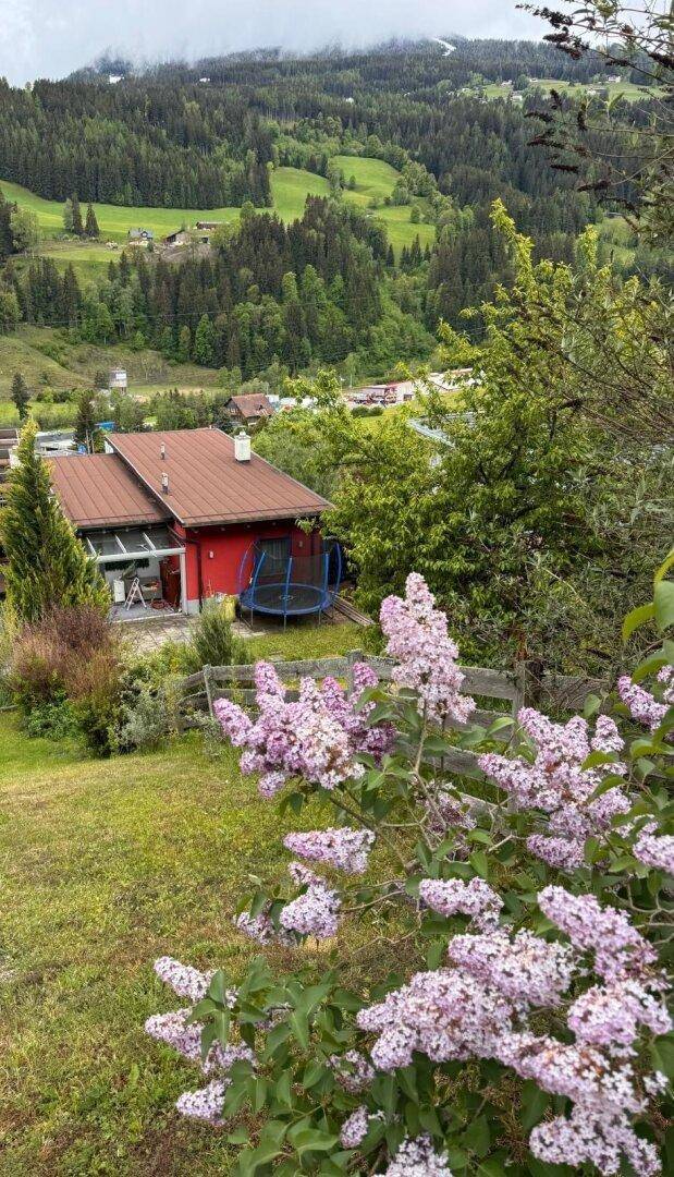 Haus in grüner Hügellandschaft mit blühenden Fliederbüschen im Vordergrund und Trampolin im Garten.
