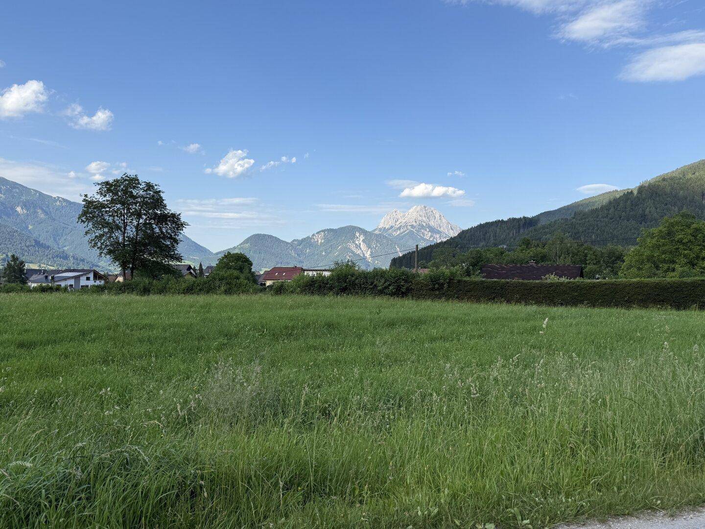 Idyllische Landschaft mit saftigen Wiesen, einer Baumgruppe und imposanten Bergen unter klarem Himmel.