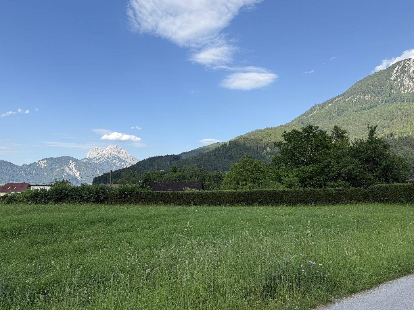 Helles Feld mit einer Hecke und bewaldeten Hügeln, die zu den fernen Berggipfeln unter blauem Himmel führen.