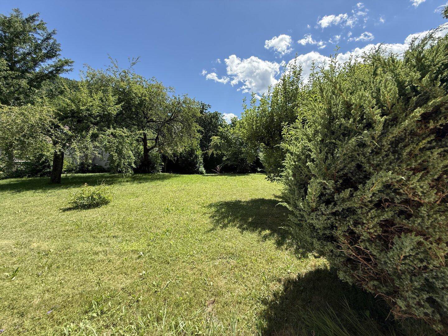 Großer, sonniger Garten mit gepflegtem Rasen, vielfältigem Baumbestand und üppigen Büschen.