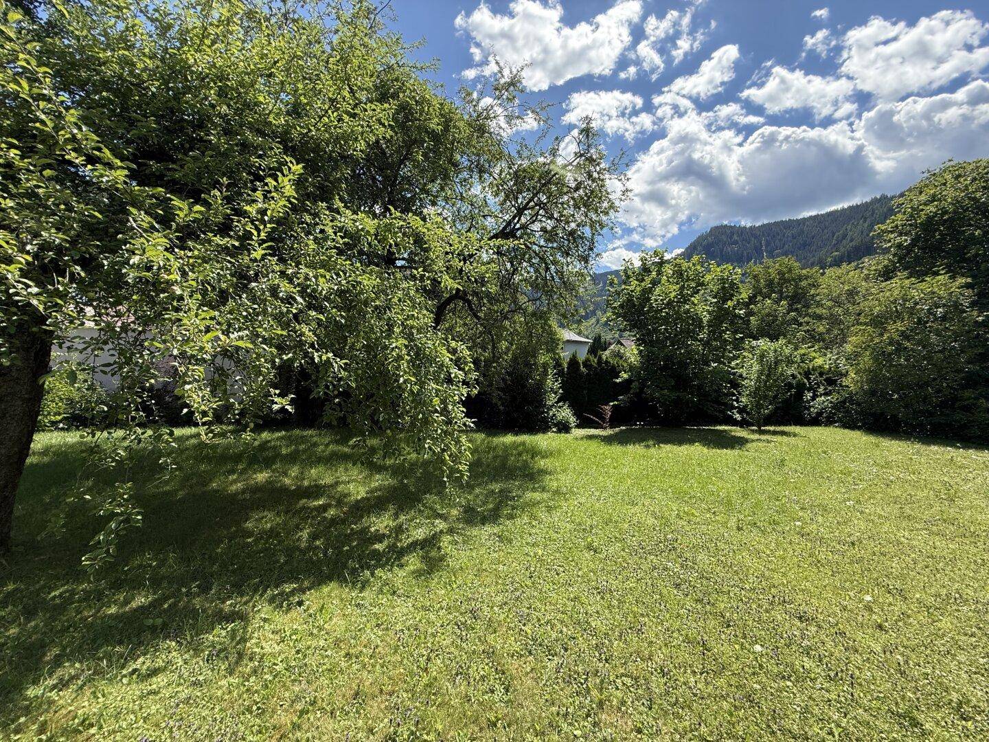 Naturbelassener Gartenbereich mit altem Baumbestand und sonnigen Rasenflächen, ideal zum Entspannen.