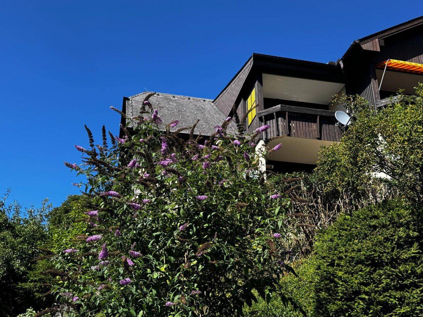 Detailansicht der Gebäudefassade mit einem Balkon und blühenden Sträuchern im Vordergrund unter blauem Himmel.