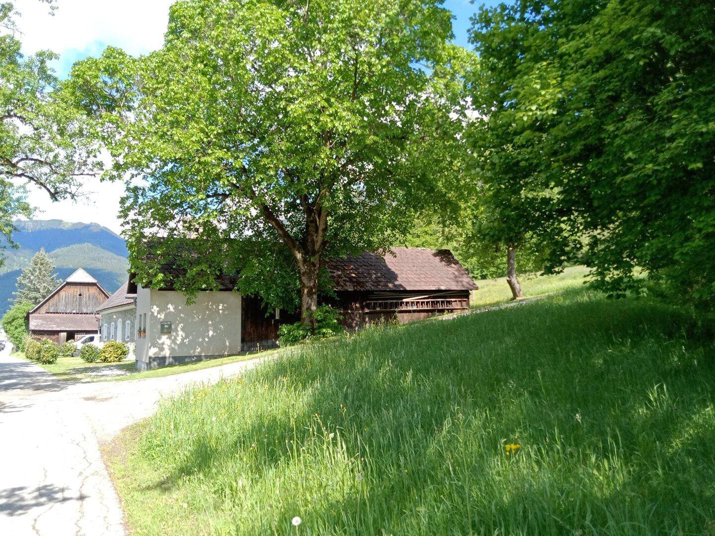 Idyllischer Weg führt an einem traditionellen Haus vorbei, beschattet von einem großen, alten Baum.