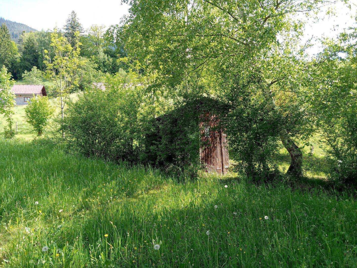 Kleiner Holzschuppen versteckt zwischen Büschen und Bäumen auf einer sonnigen Wiese.