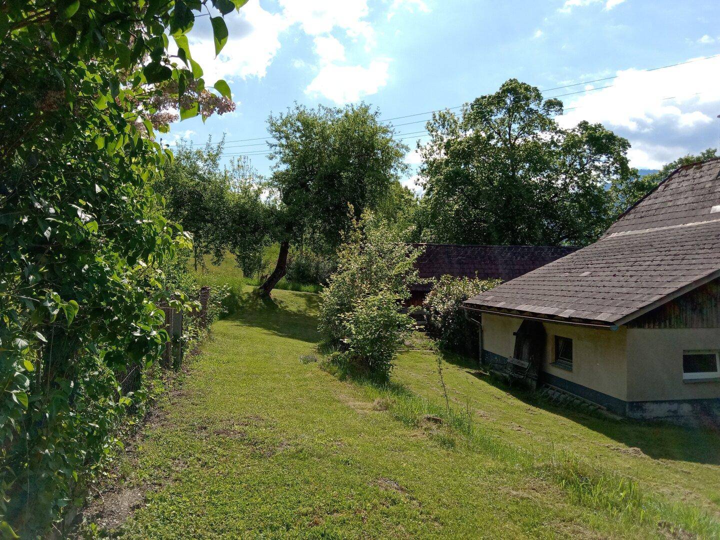 Grüner Weg führt an einem traditionellen Haus vorbei, umgeben von Bäumen und Sträuchern.