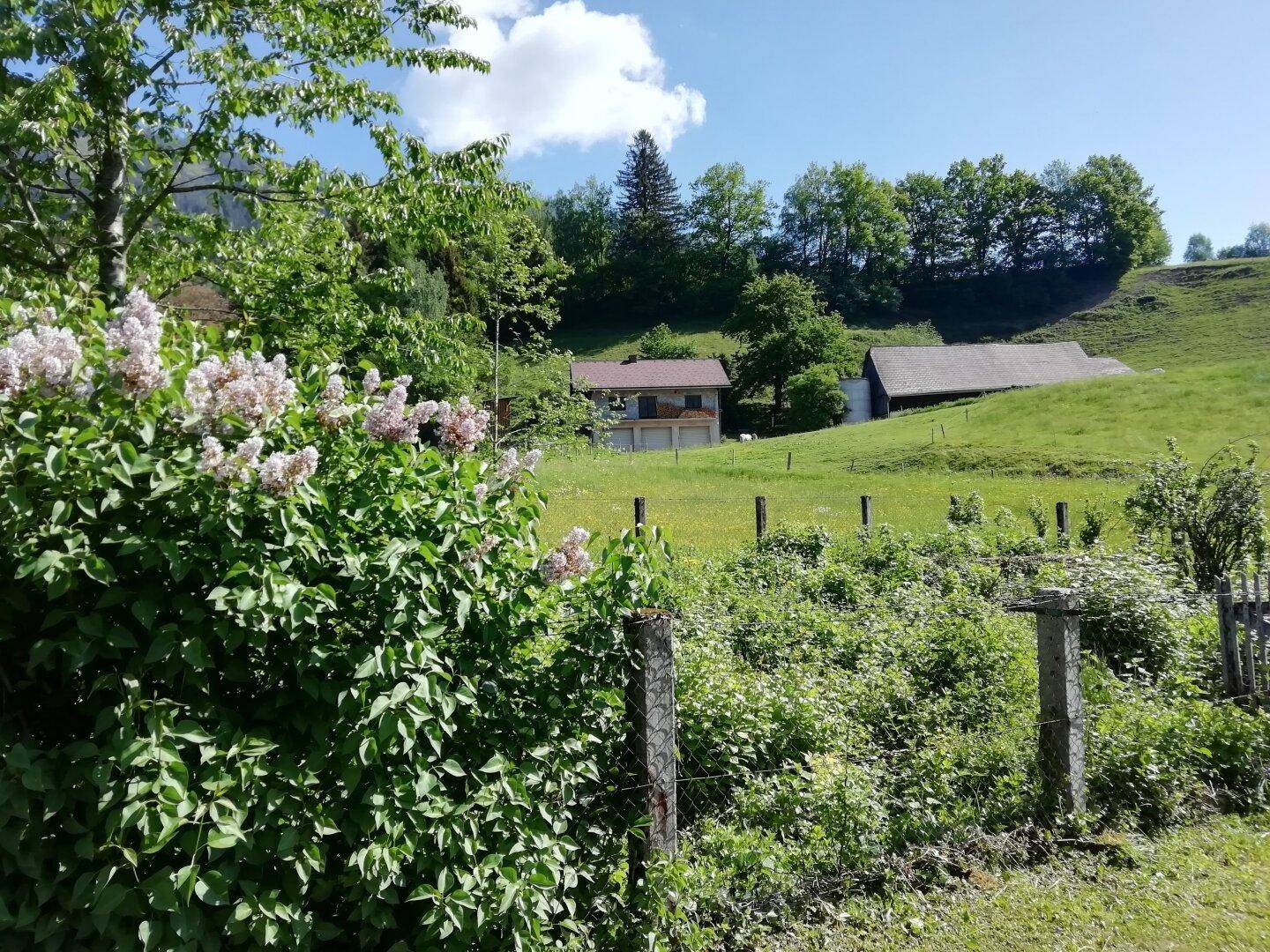 Blühende Büsche im Vordergrund mit einem malerischen Blick auf Häuser und grüne Hügel.