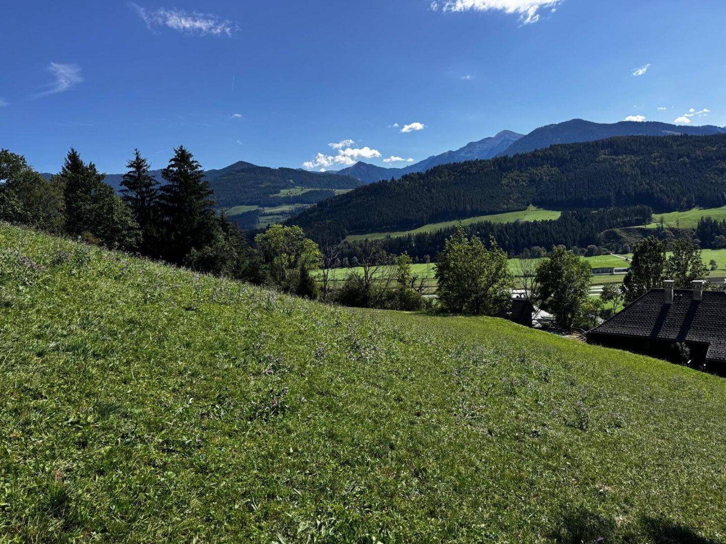 Sanft abfallende grüne Wiese mit Blick auf bewaldete Hügel und ferne Berge unter klarem Himmel.