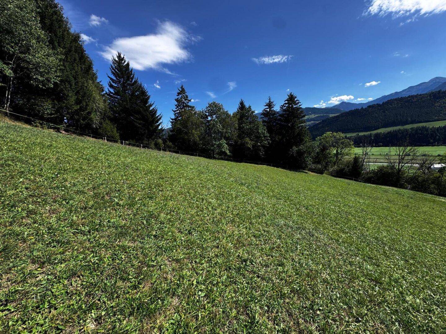 Grüne Wiesenfläche mit einem Waldrand und sanften Hügeln, die sich bis zu den fernen Bergen erstrecken.