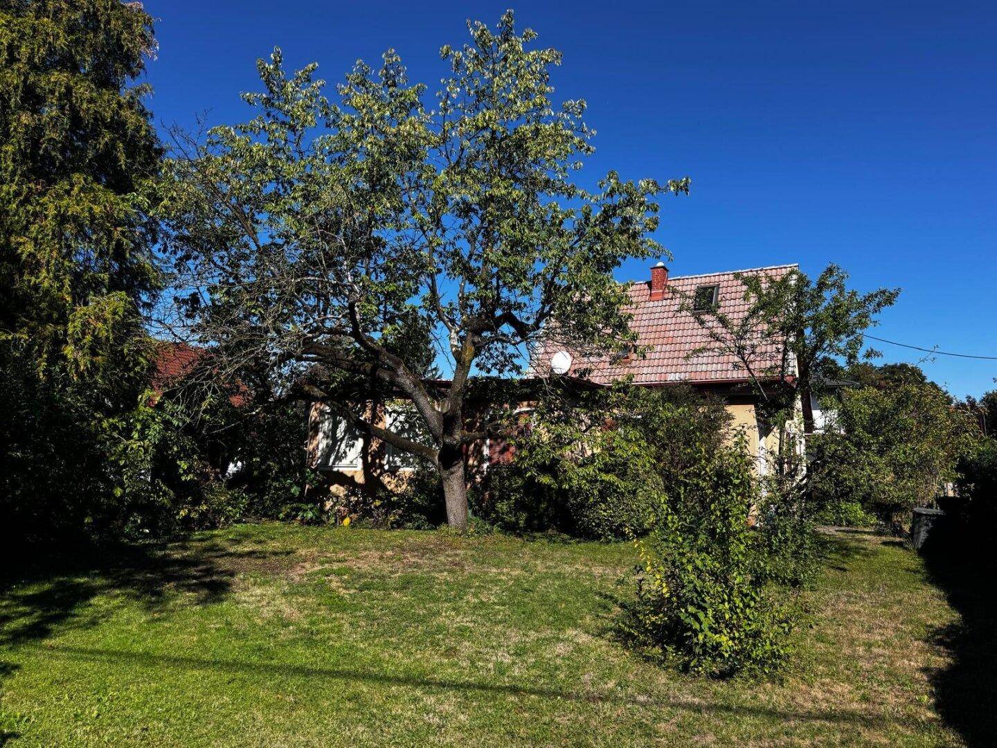 Großer, gepflegter Gartenbereich mit altem Baumbestand und viel Rasenfläche hinter dem Haus.