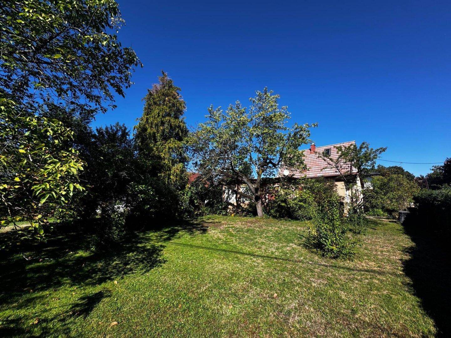 Weitläufiger Garten mit Rasenfläche und altem Baumbestand, der das Haus umgibt.