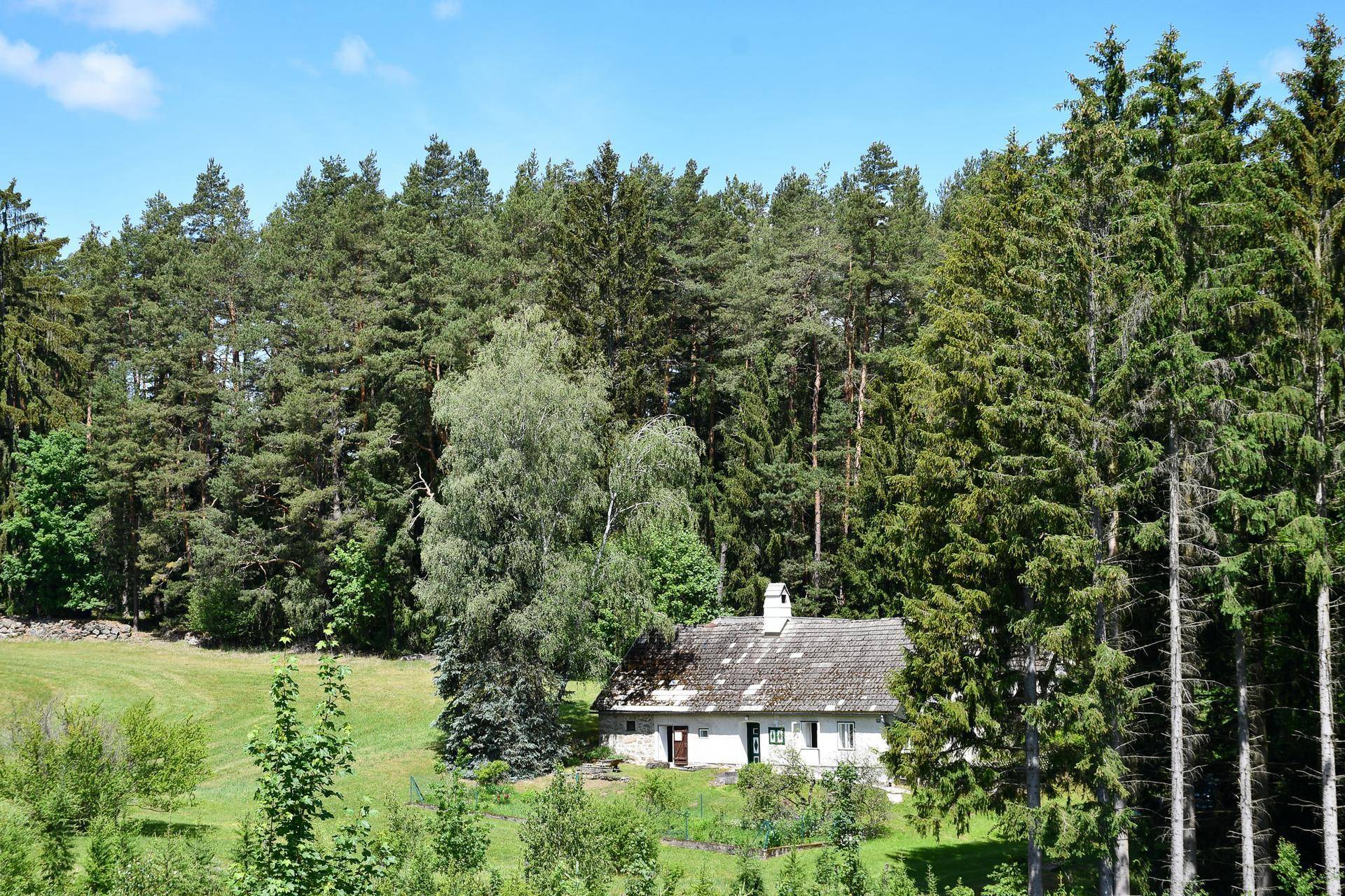 Haus in ruhiger Waldrandlage, umgeben von hohen Bäumen und grüner Natur.