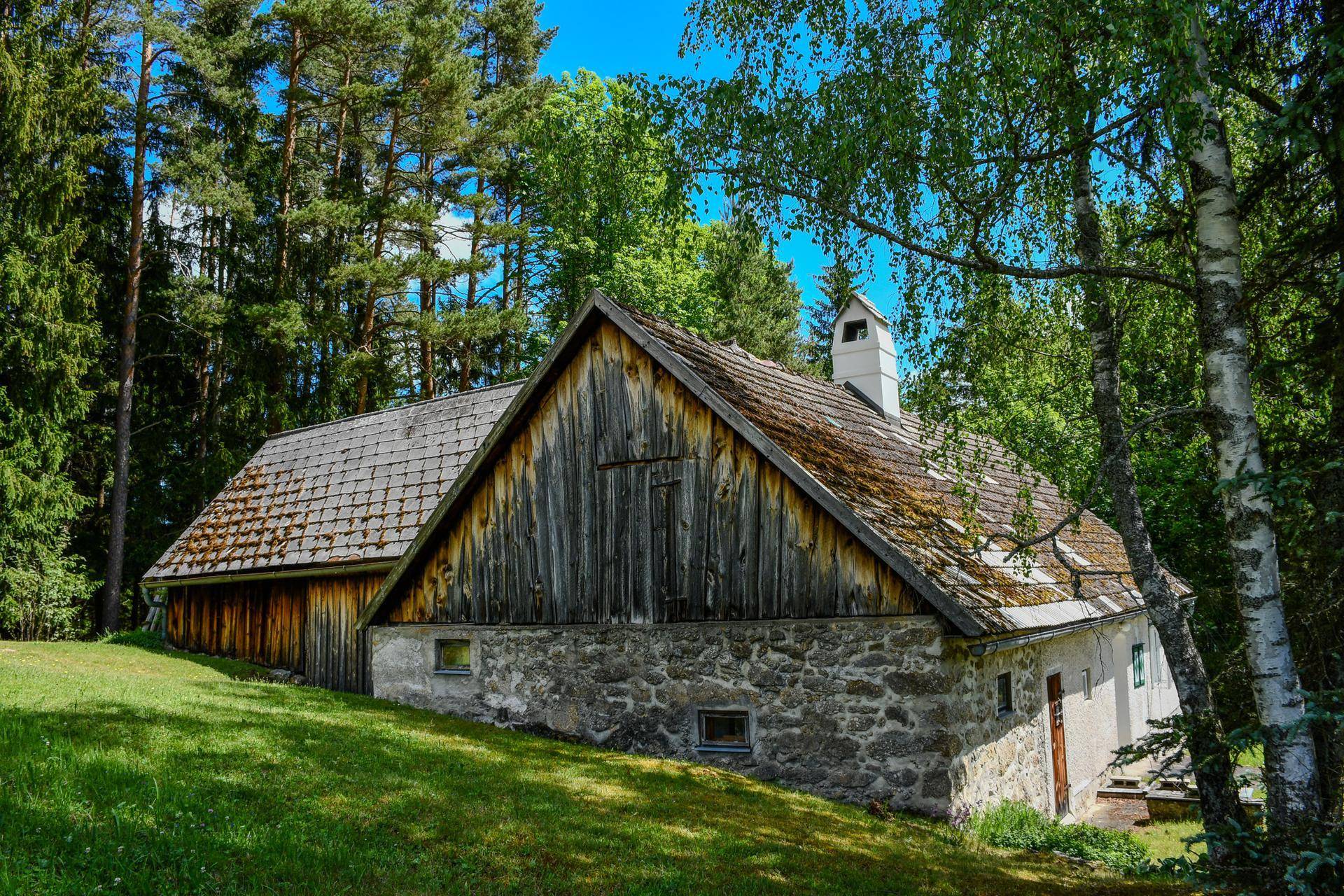 Rustikales Gebäude mit Steinfundament und Holzverkleidung, eingebettet in eine grüne Waldlandschaft.