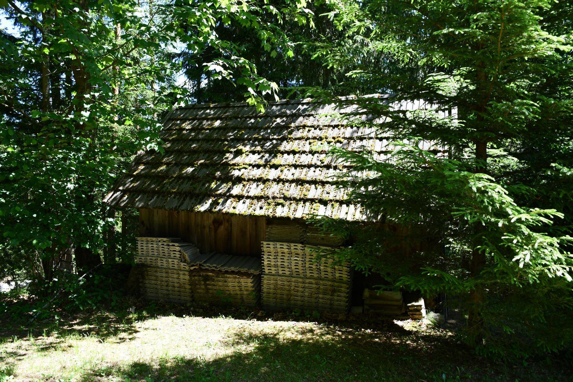 Alter Holzschuppen mit moosbewachsenem Dach, versteckt zwischen Bäumen.