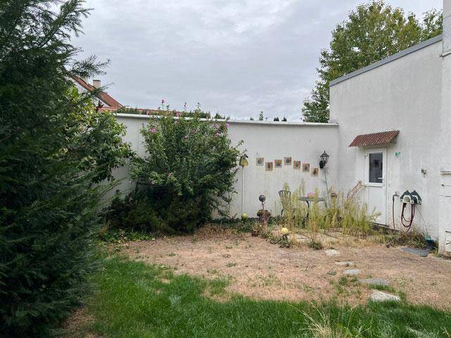 Gartenbereich mit Rasen, hohen Mauern und Sträuchern, bietet Privatsphäre.