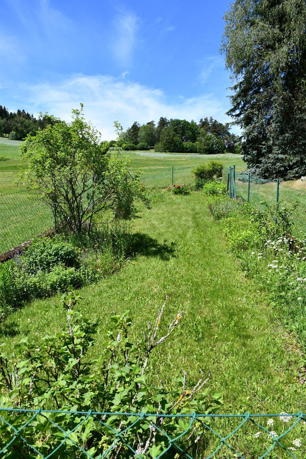 Grüner Gartenweg mit Zaun, umgeben von Wiesen und Bäumen unter blauem Himmel.