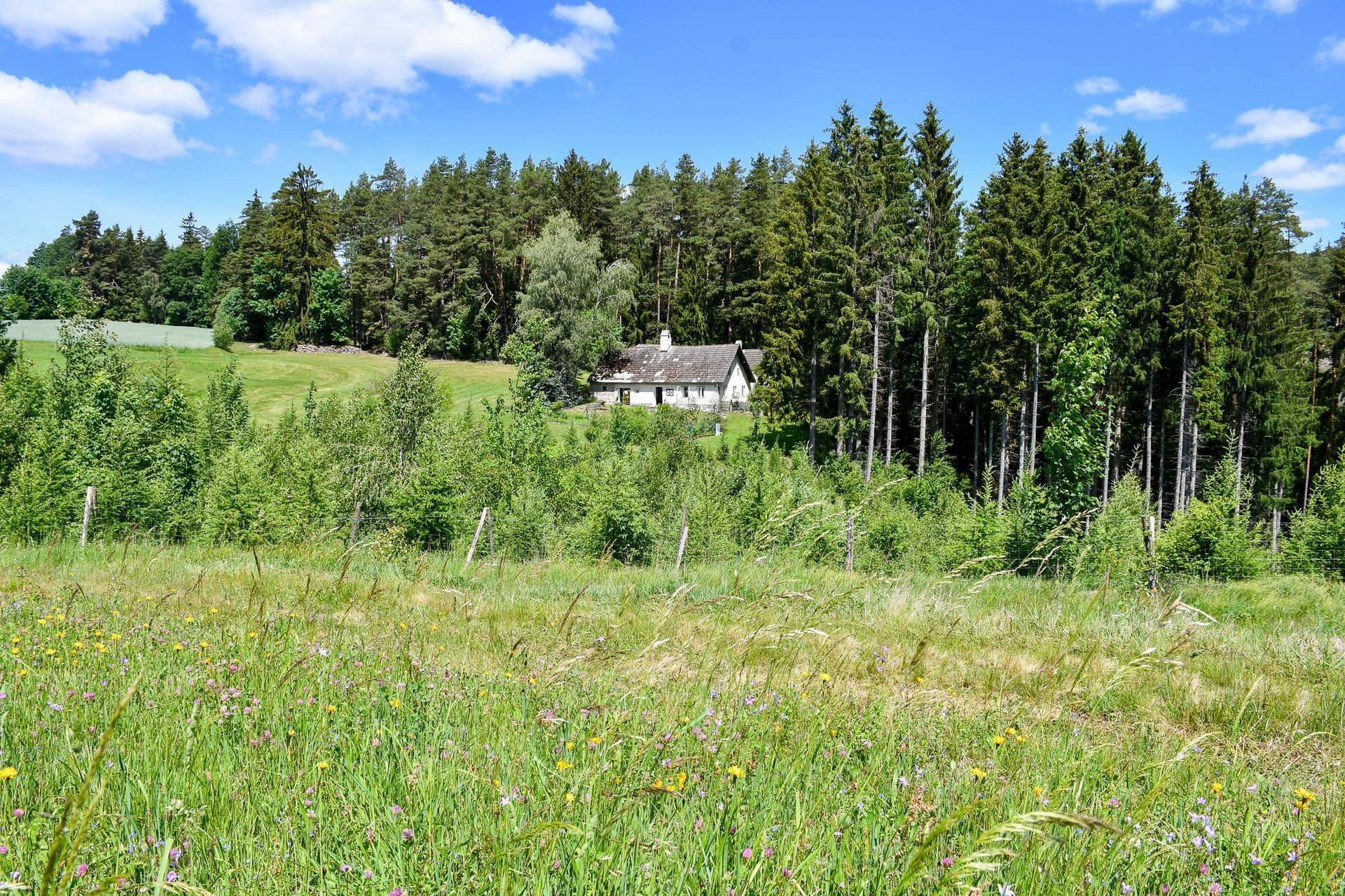 Weitläufige Landschaft mit einem kleinen Haus am Waldrand, umgeben von Feldern und Bäumen.