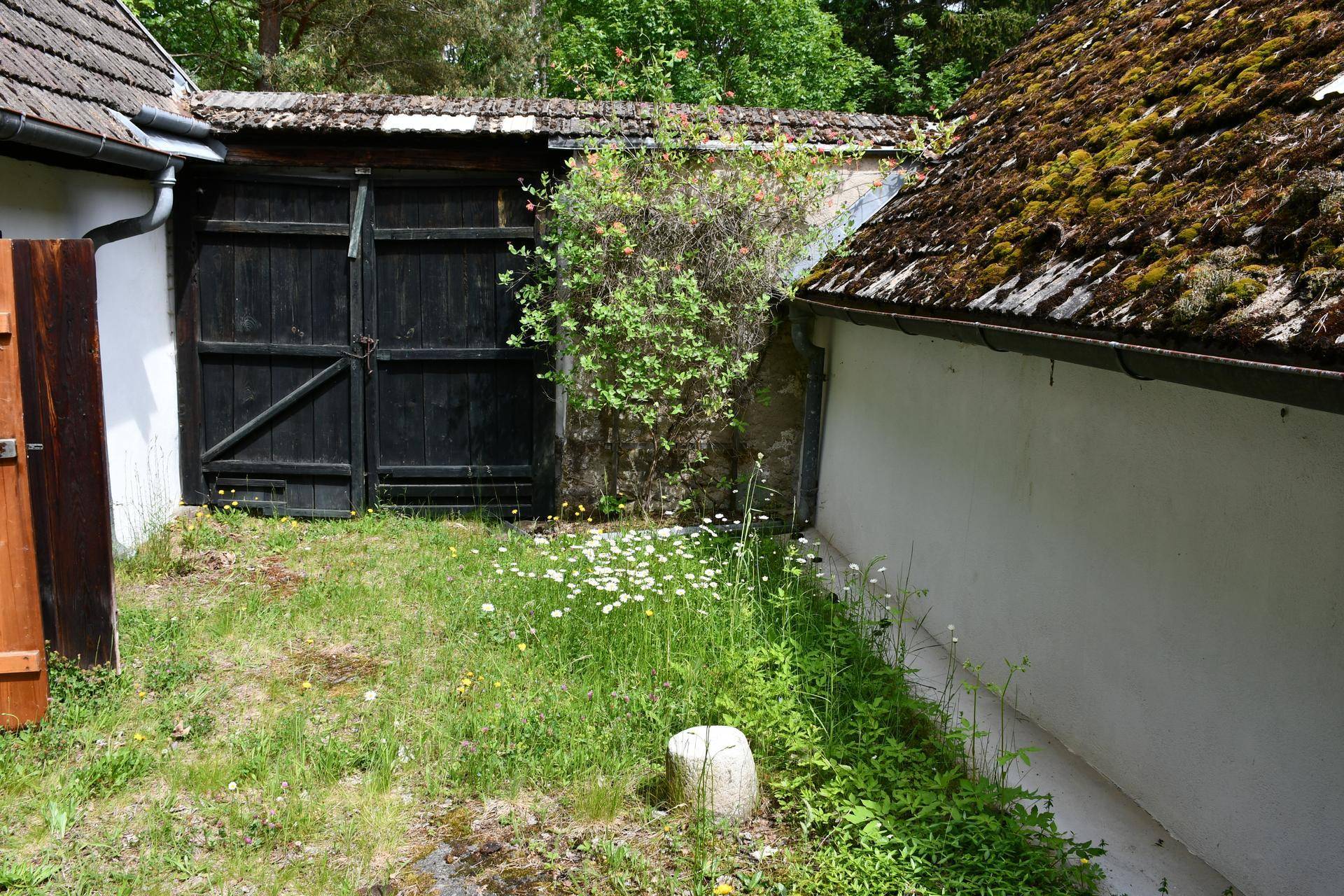 Grüner Gartenbereich mit Gänseblümchen und alten Holztoren, umgeben von rustikalen Gebäuden mit Moosdächern.