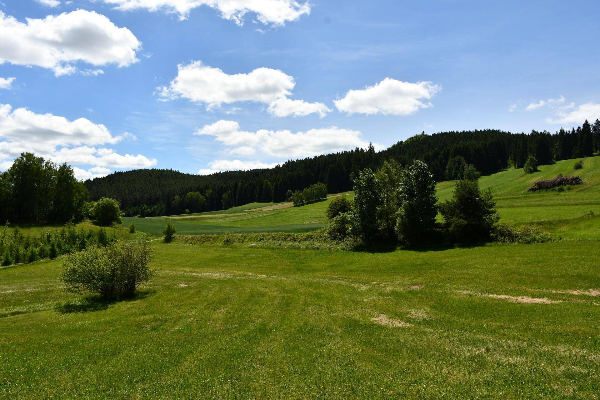 Malerische Landschaft mit weiten grünen Wiesen, Wäldern und einem blauen Himmel.