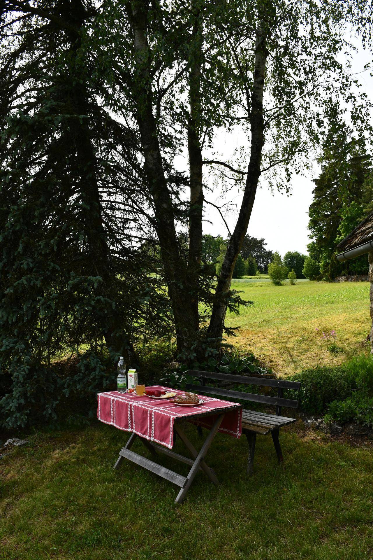 Gemütlicher Picknickplatz mit Holztisch und Bank unter schattenspendenden Bäumen im Garten.