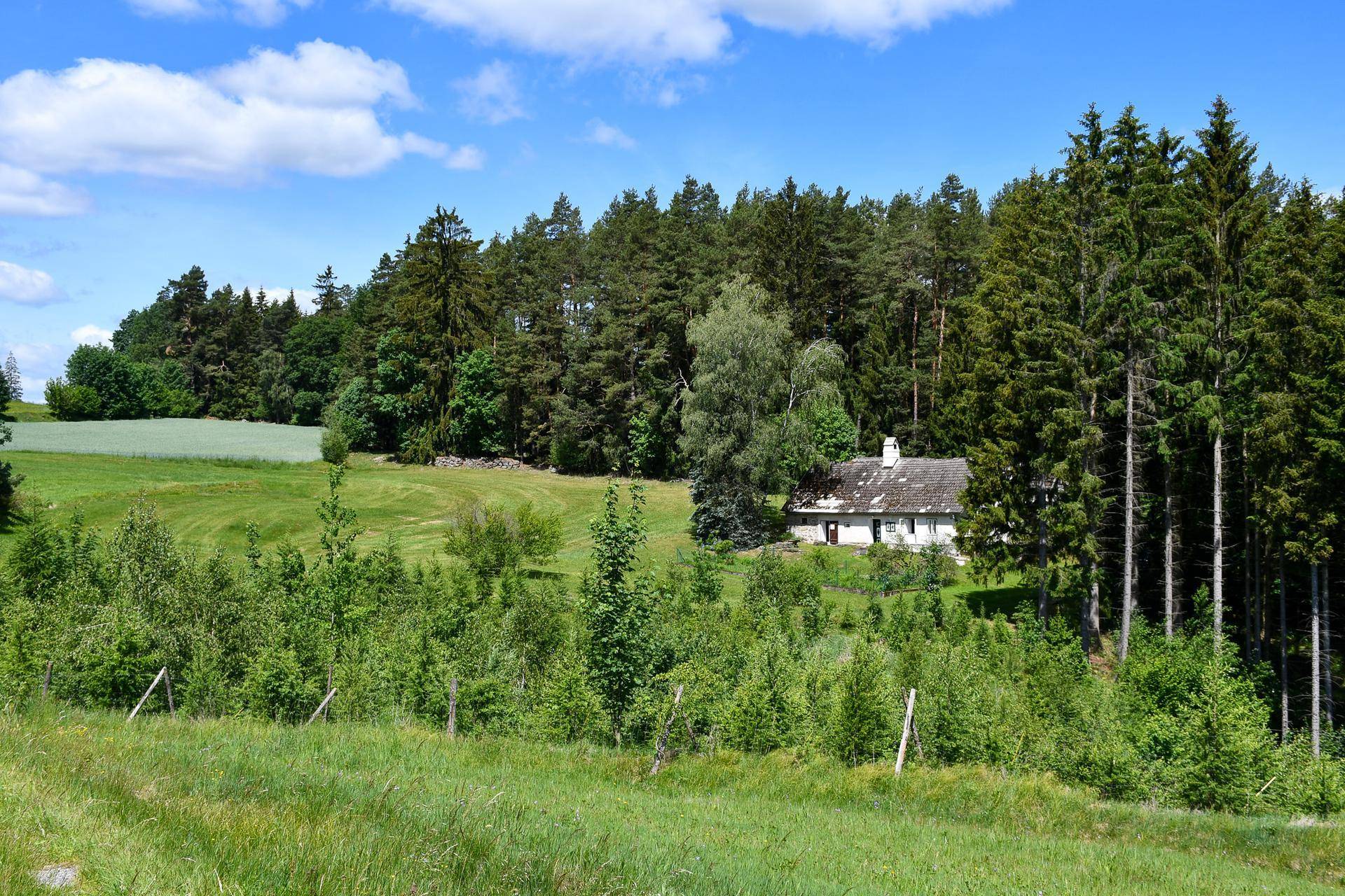 Idyllische ländliche Szene mit einem Haus am Waldrand, umgeben von grünen Wiesen und Feldern.