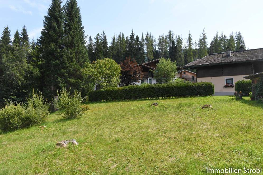 Weitläufige Grünfläche mit Hecke, die Häuser und dichte Wälder im Hintergrund abgrenzt.