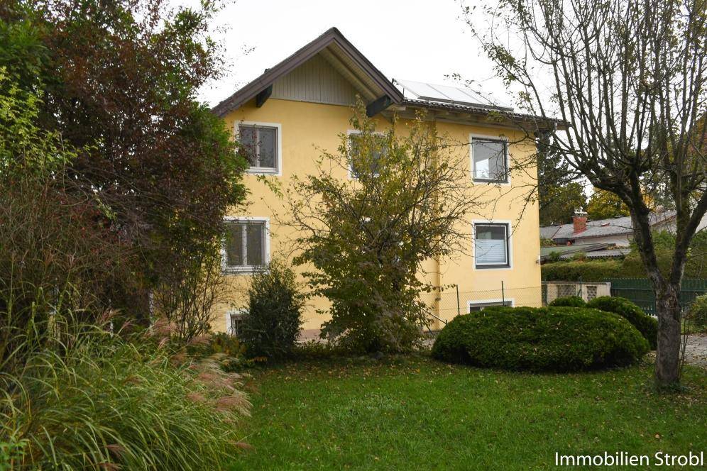 Gartenbereich hinter dem gelben Wohnhaus mit Rasenfläche und verschiedenen Sträuchern und Bäumen.