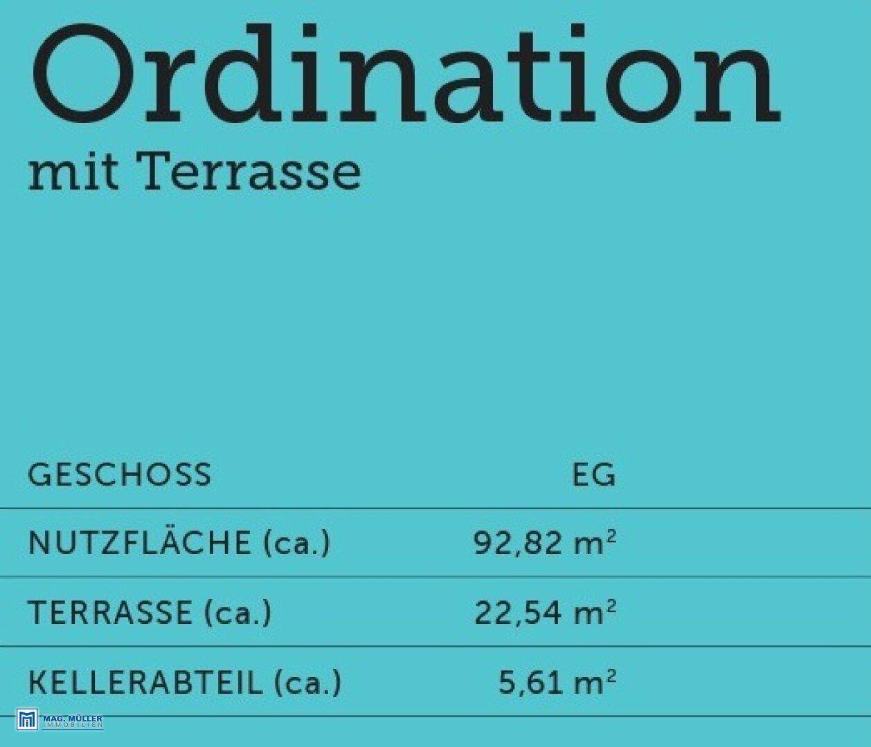 Slide 11