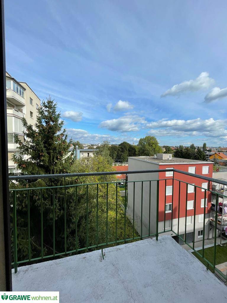 Bild6
